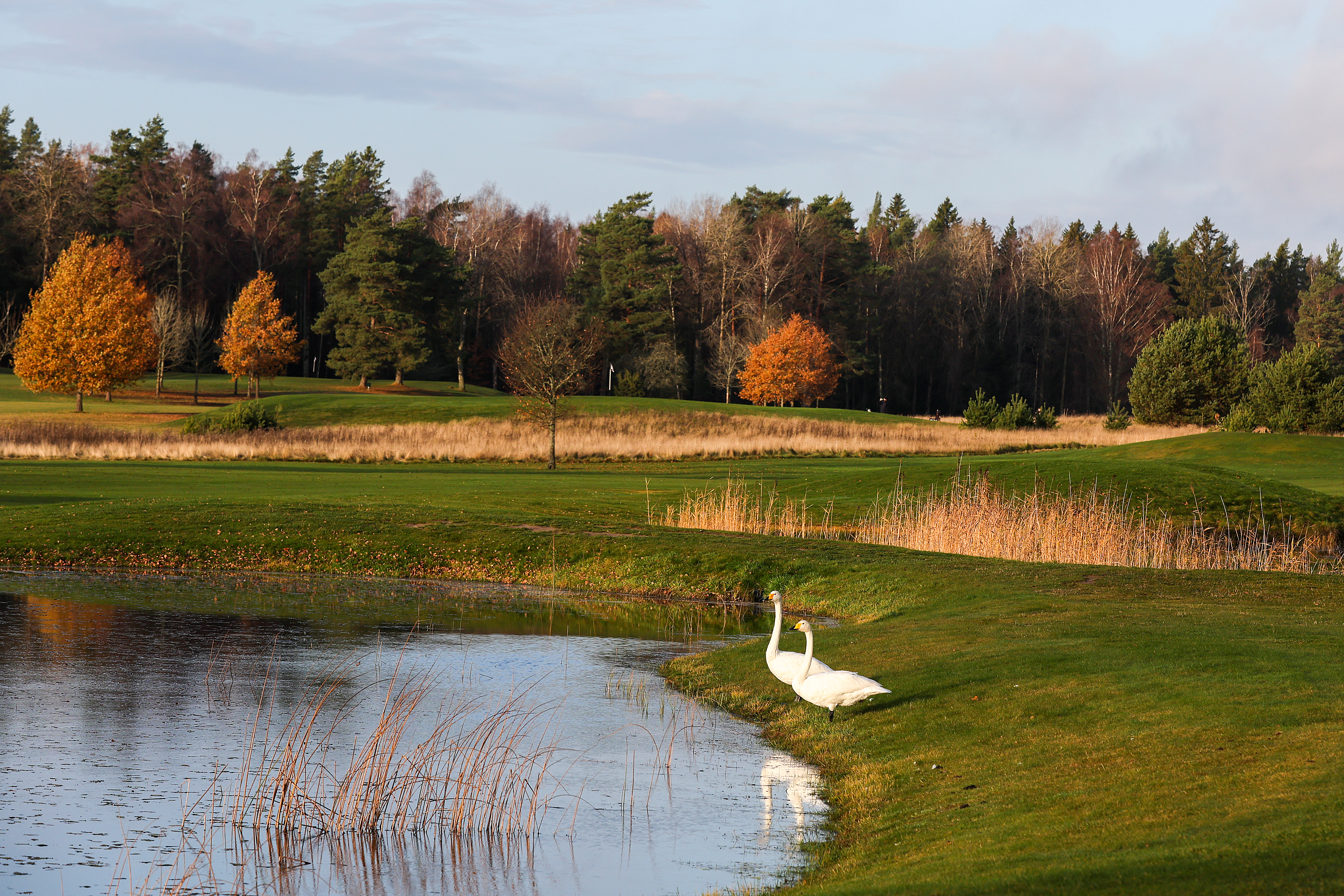 Hybridslingan stänger 17/11